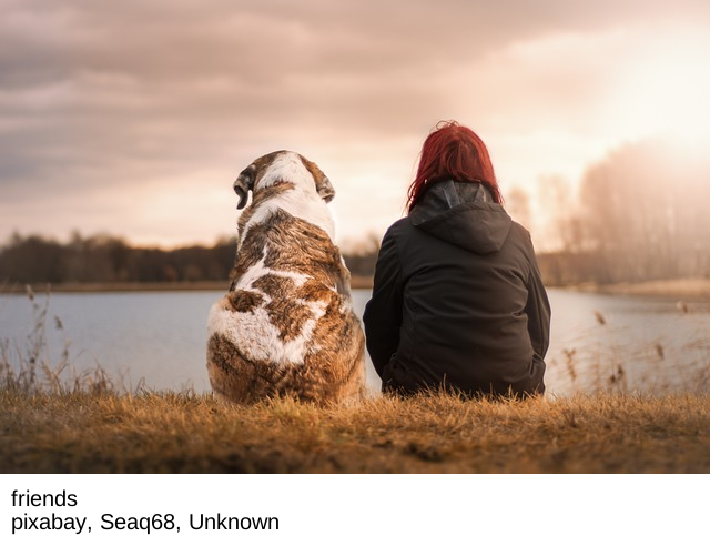 What is the impact of feeding a dog grain-free food?