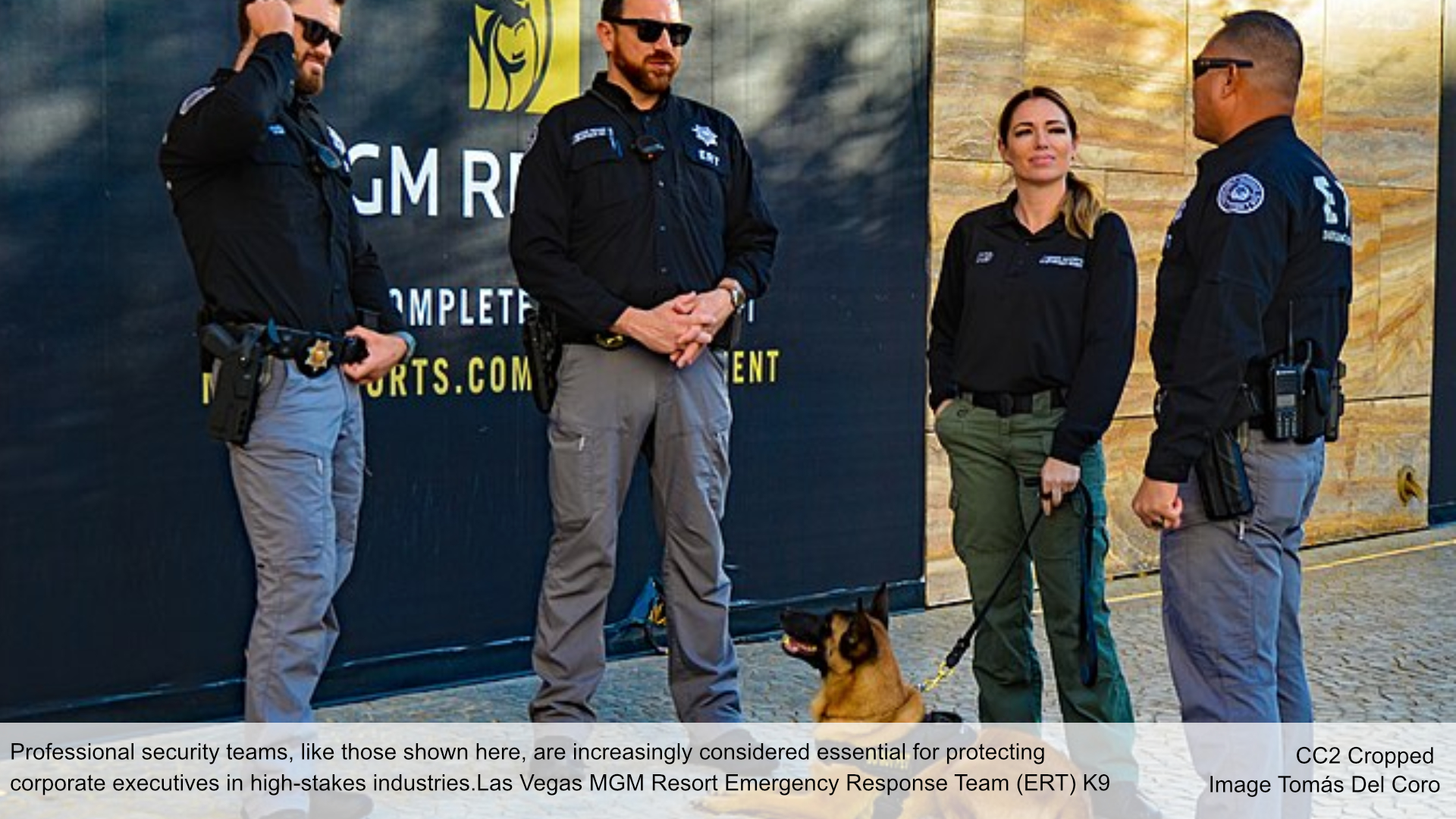 Professional security teams, like those shown here, are increasingly considered essential for protecting corporate executives in high-stakes industries